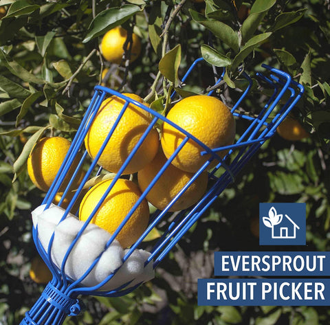 EVERSPROUT Foam cushion protects fruit during picking