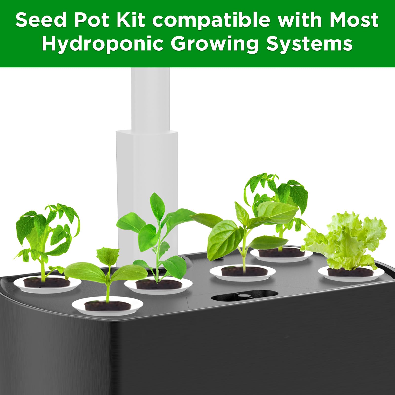 Evereco grow sponge starter pods ready, supports smooth transition between crops.