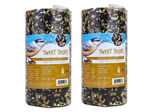 Evergreen Birdseed Cylinder with Hole for outdoor feeding and mess-free use.