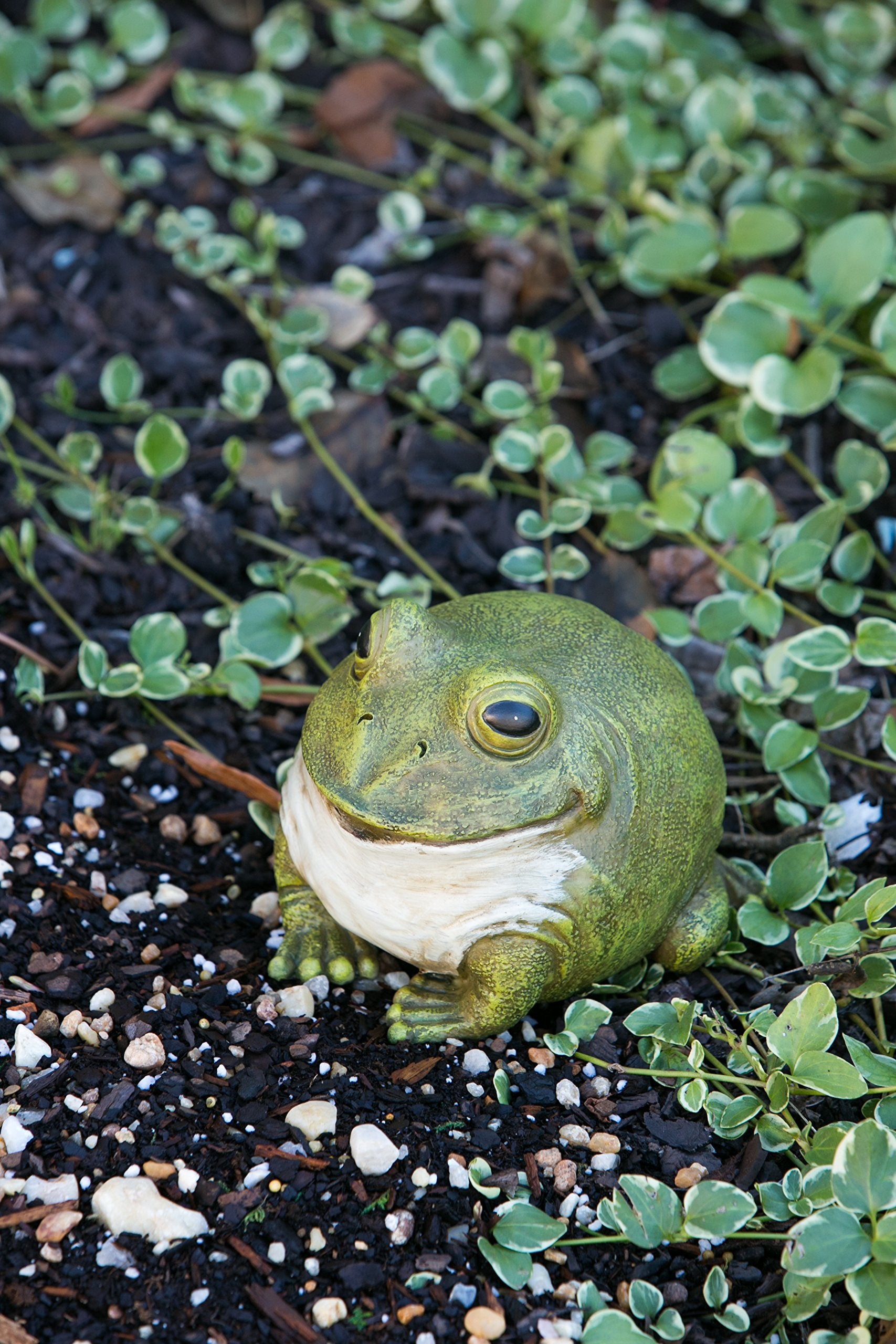 Evergreen Garden portly frog statue features hand-painted texture and color.