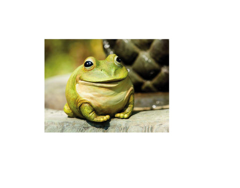Evergreen Garden garden sculpture adds whimsy and practicality to outdoor spaces.