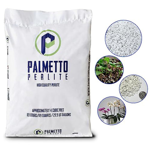 Evergreen Palmetto perlite texture in potting mix improves root space.