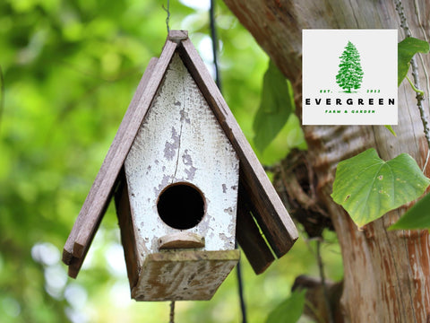 Evergreen two cylinders inside pack ready for quick, ready-to-use feeding.
