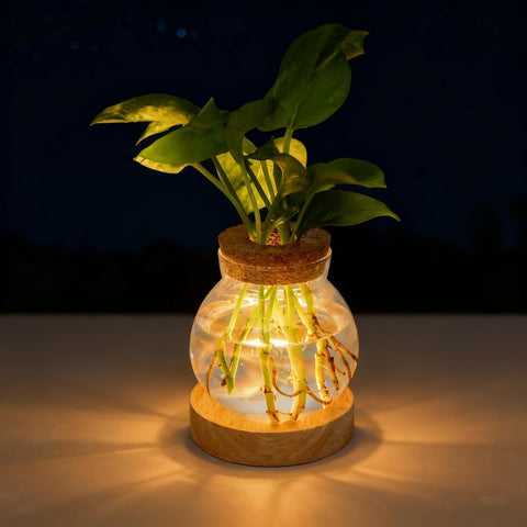 Everkeen propagation station with light showing a clear glass vessel for cuttings and root growth