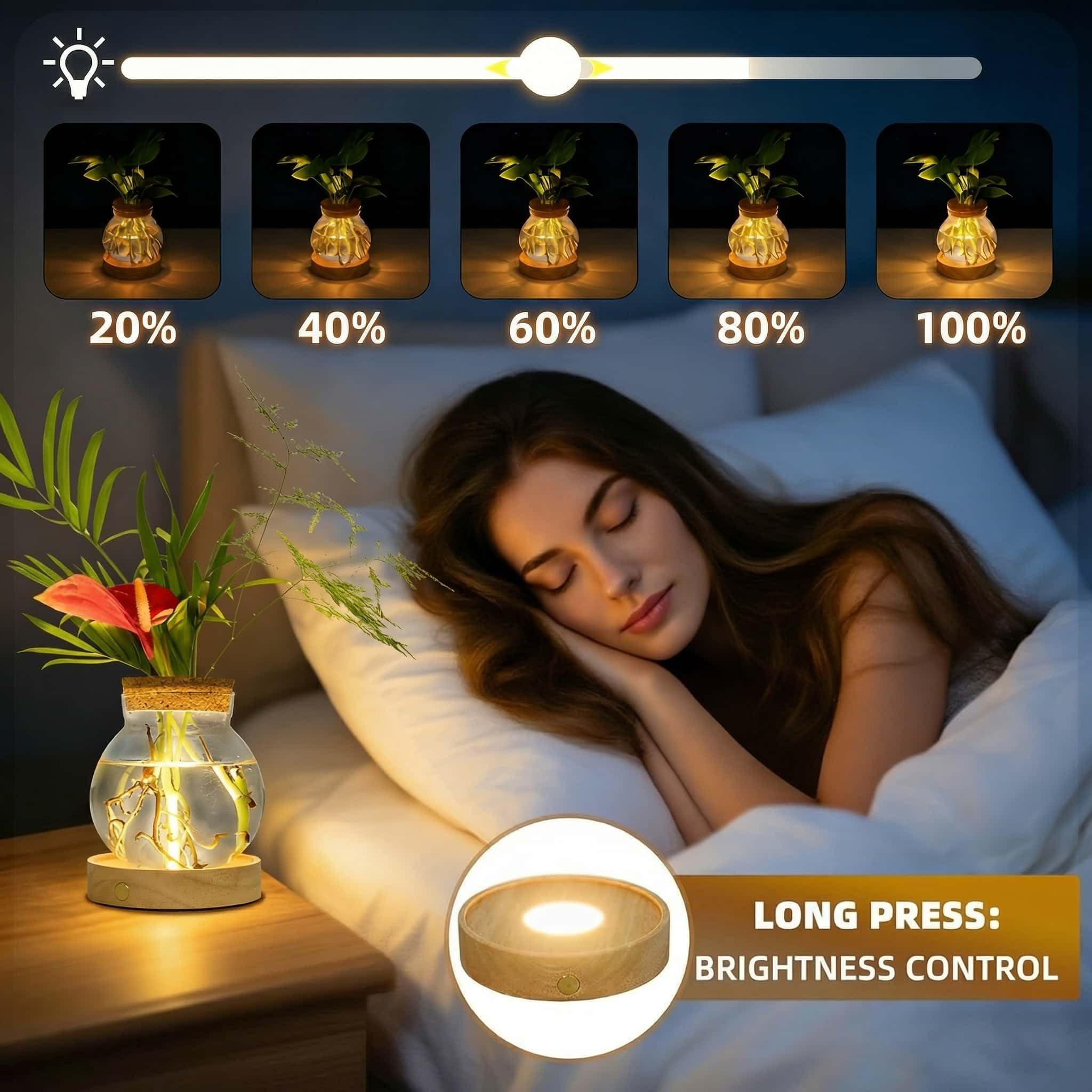 Everkeen stepless dimming LED light provides adjustable ambiance for indoor plants.
