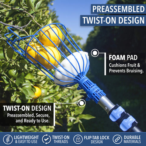 EVERSPROUT foam-padded-basket cushions fruit to prevent bruising.
