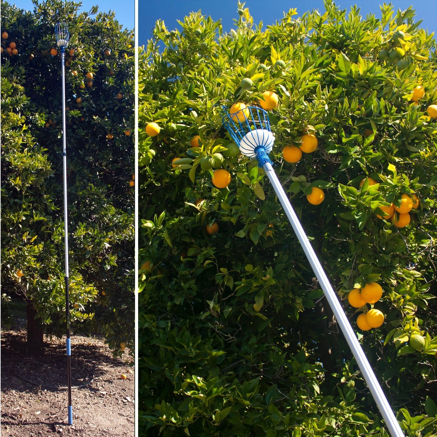 EVERSPROUT pre-assembled-fruit-picker arrives ready to use.