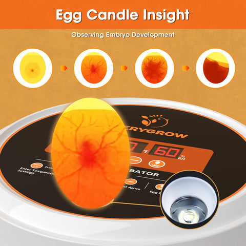 EVERYGROW incubator 360-degree view for easy monitoring of progress.