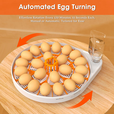 EVERYGROW incubator supports chicken, duck, quail, and goose eggs for versatility.