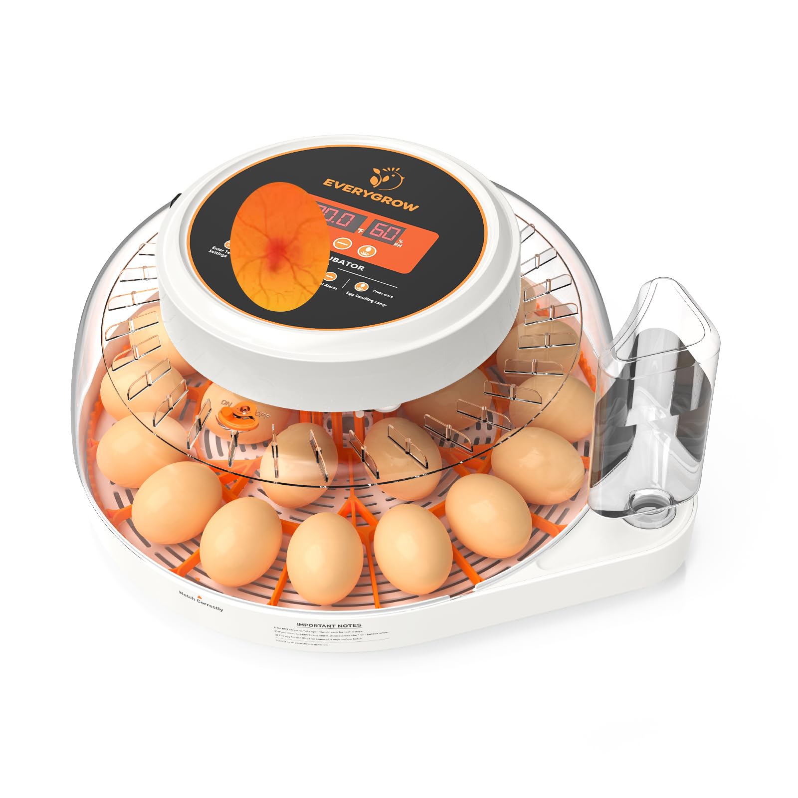EVERYGROW incubator front view with eggs showing a stable environment for hatching.