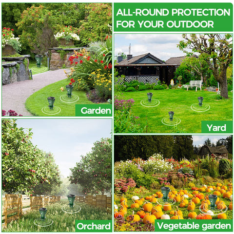 EVESKY four-pack packaging ready for multiple outdoor zones