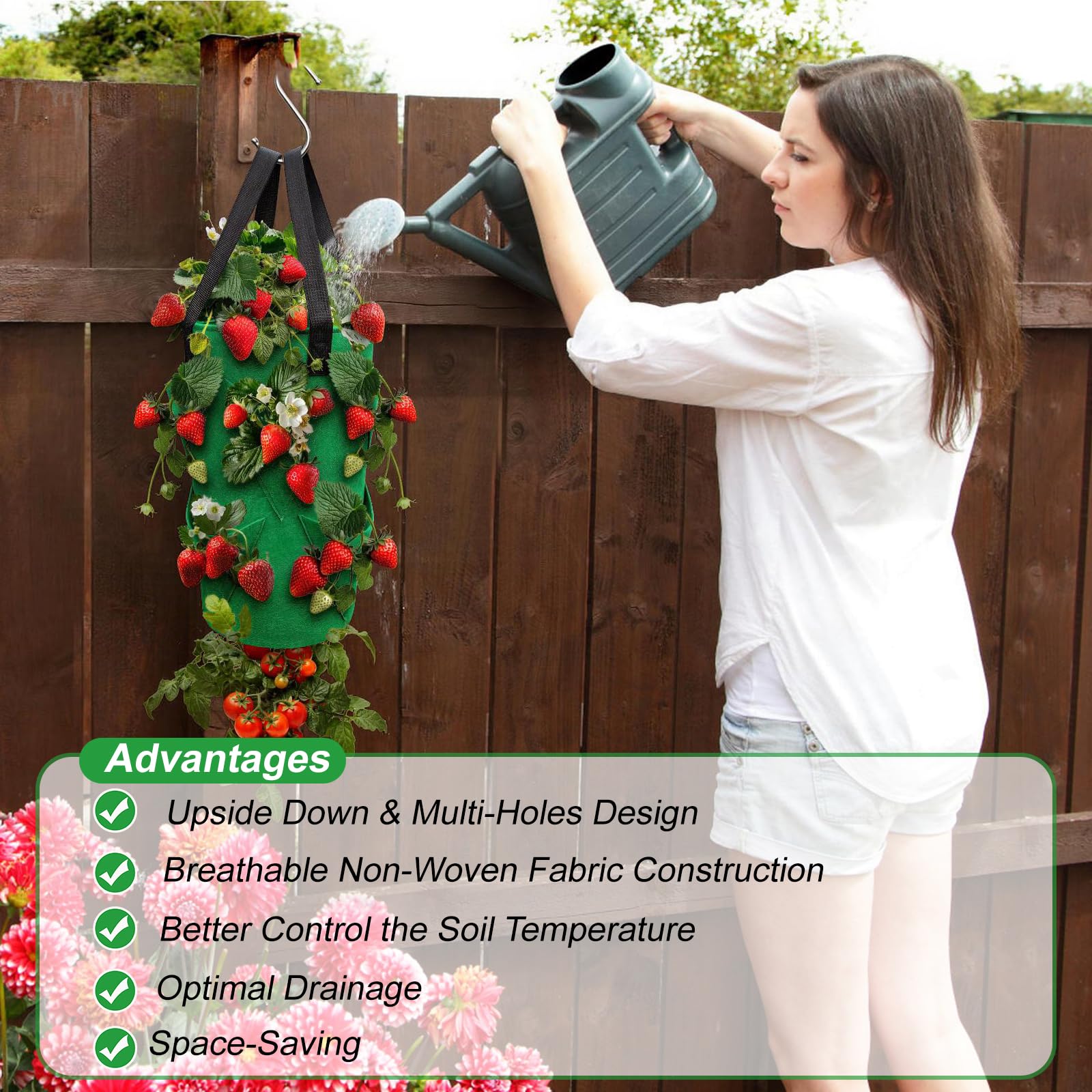 EVISWIY self-watering stakes supporting healthy roots with less daily watering.