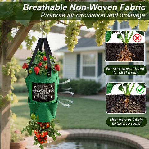 EVISWIY upside-down hole design promotes air flow and healthier root systems.