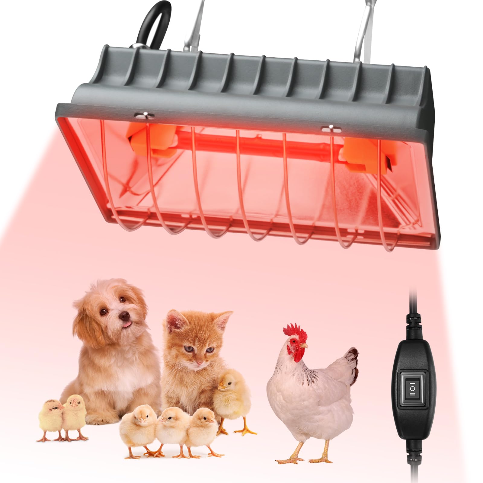 Evjeal 250W heat lamp over a chicken coop delivering steady warmth.