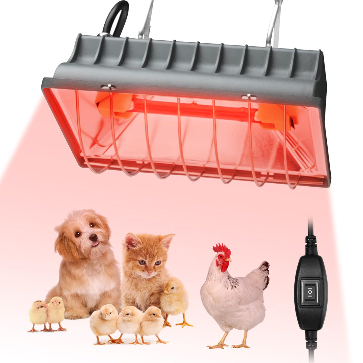 Evjeal 250W heat lamp over a chicken coop delivering steady warmth.