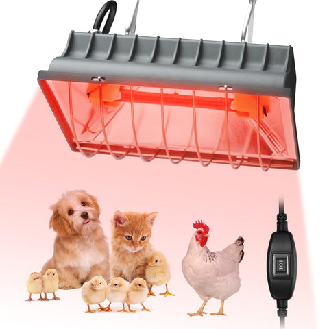 Evjeal 250W heat lamp over a chicken coop delivering steady warmth.