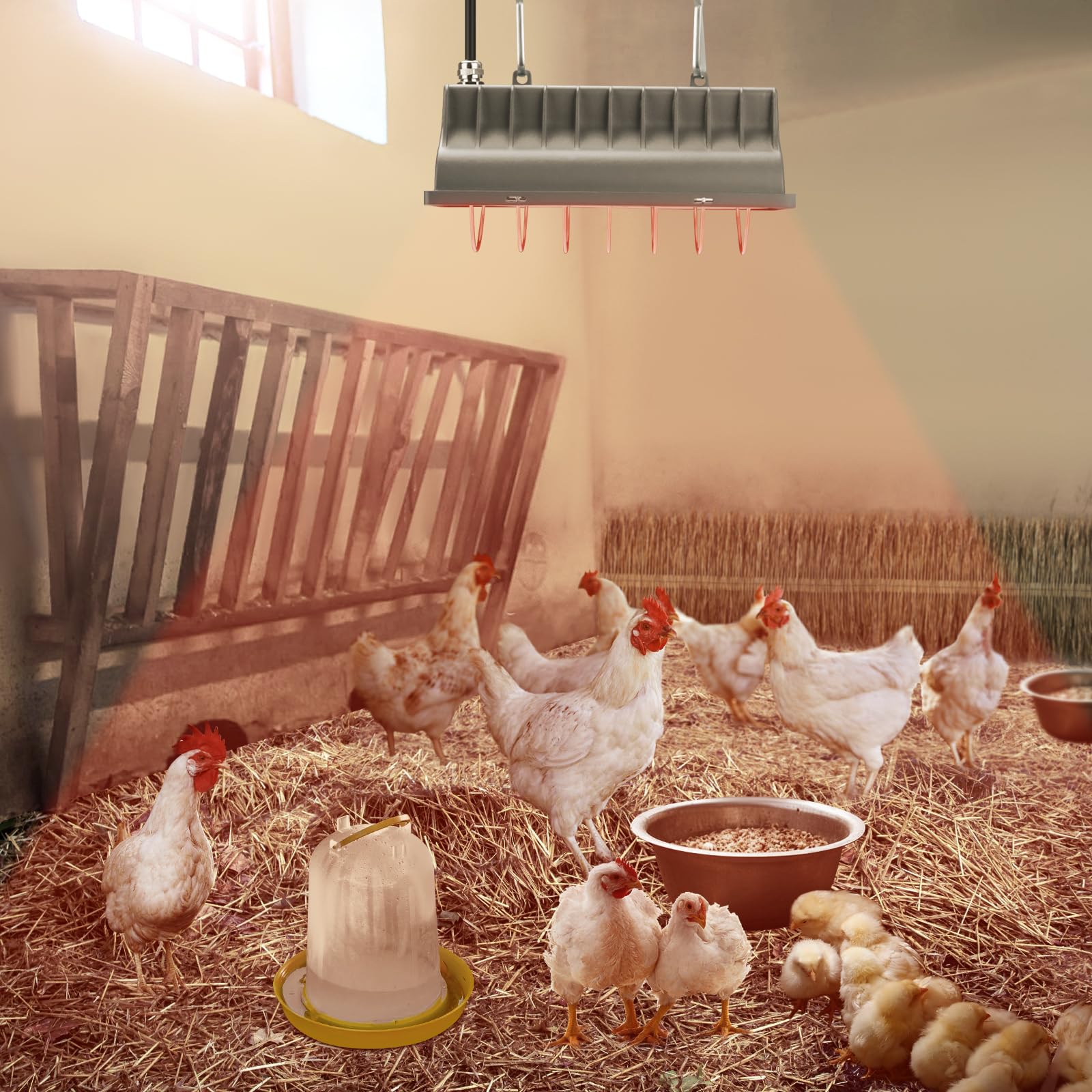 Two heat settings give low and high warmth options for versatile environments.