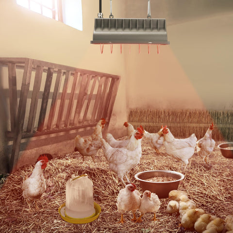 Two heat settings give low and high warmth options for versatile environments.