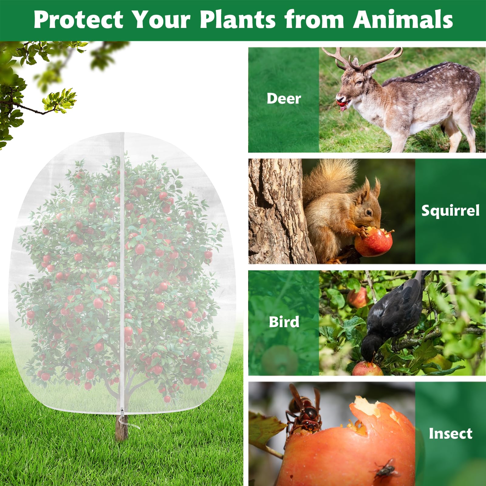 Evoio netting on blueberry shrubs providing breathable protection