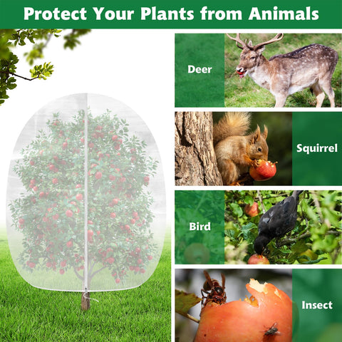 Evoio netting on blueberry shrubs providing breathable protection