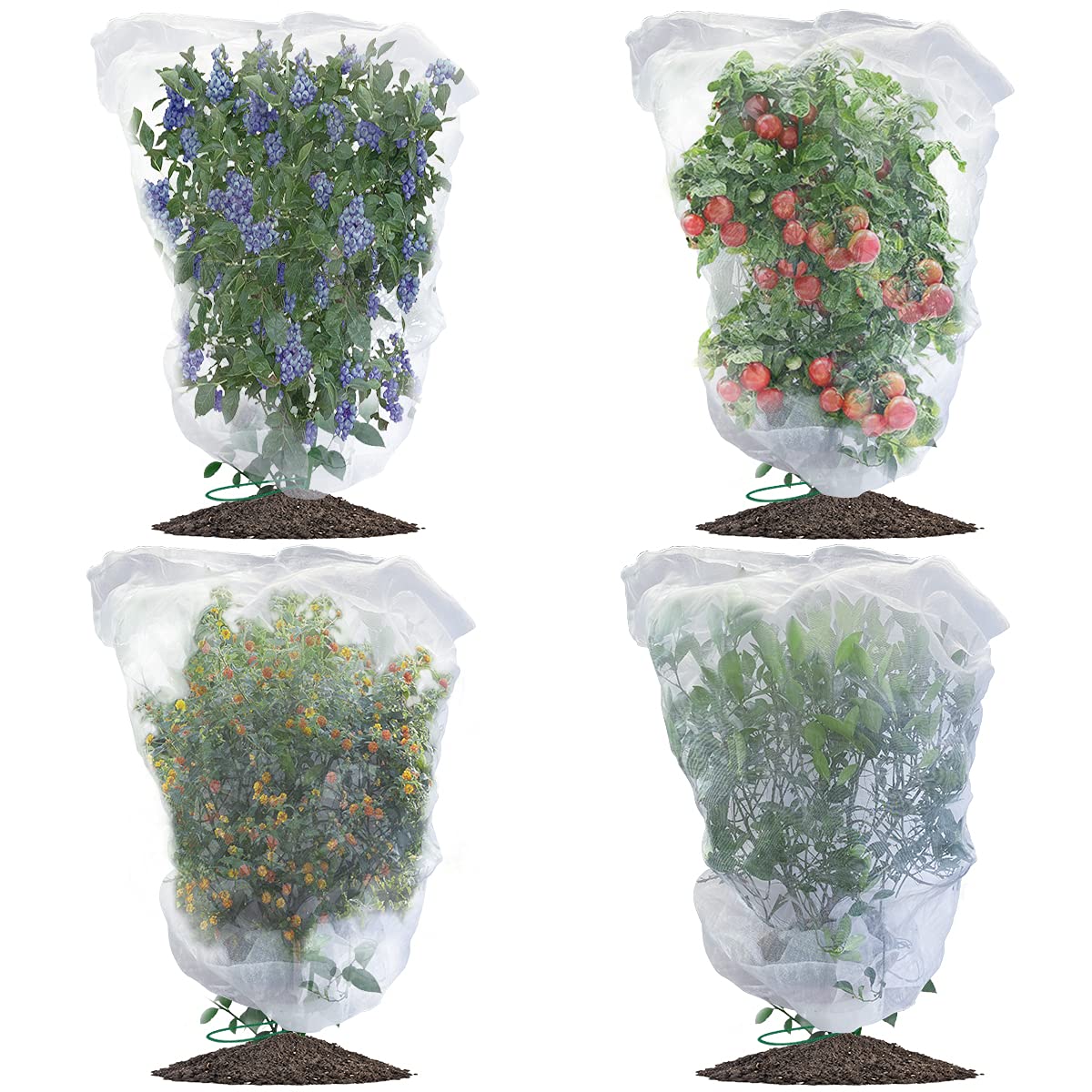 Evoio bird netting garden cover with drawstring protects berries from birds