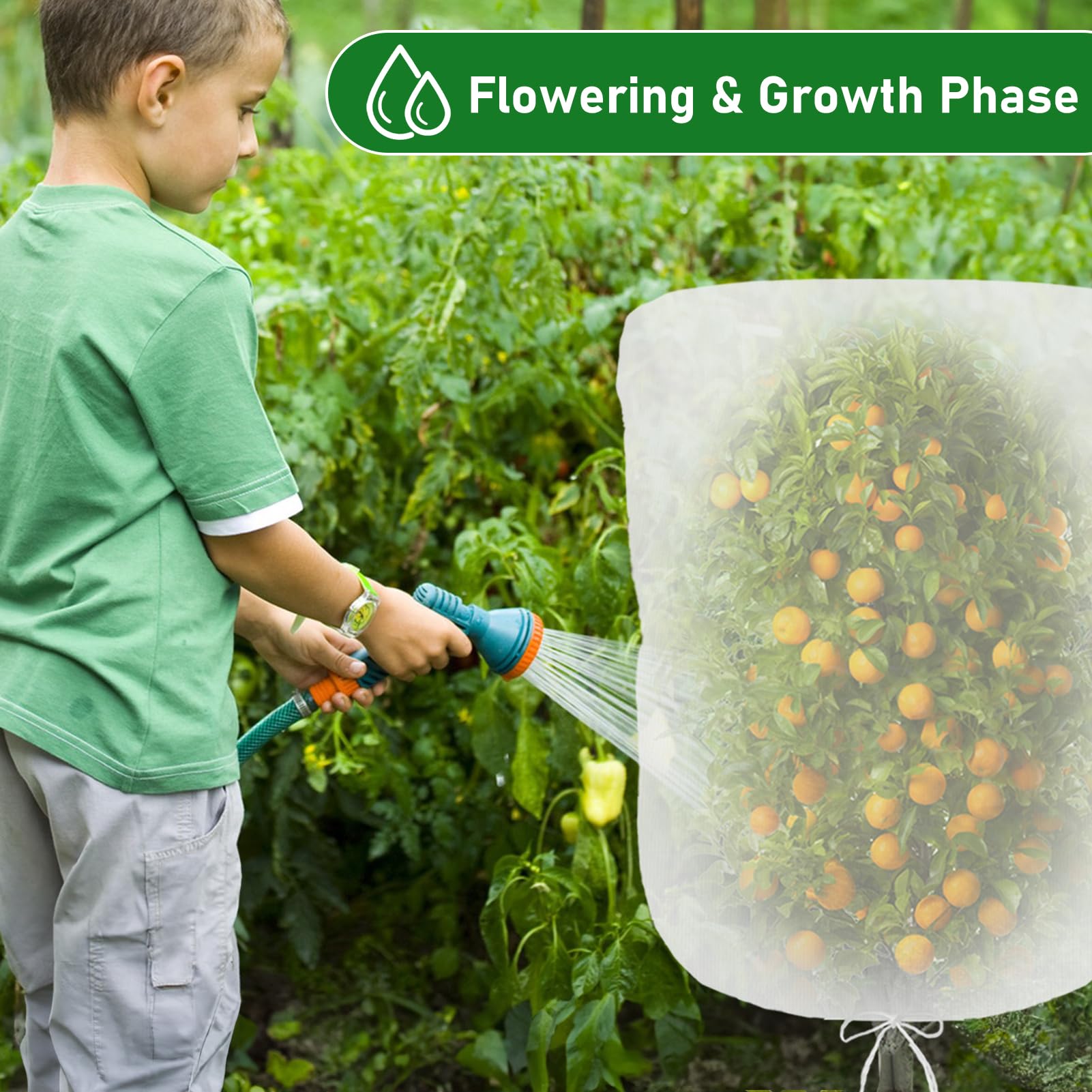 Evoio versatile garden netting shields flowers, shrubs, and vegetables