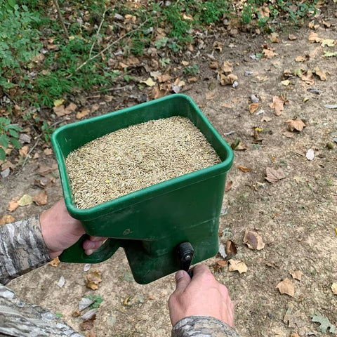 Evolved Harvest woodland habitat plot shows thriving deer forage potential.