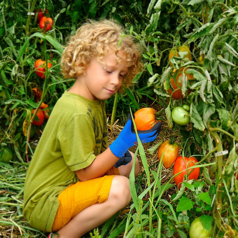 Evridwear Kids Gardening Gloves blue elastic cuffs provide snug, age-appropriate fit.