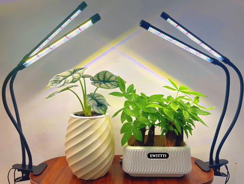 EWITTTI clip-on grow light with adjustable gooseneck lets you aim light precisely.