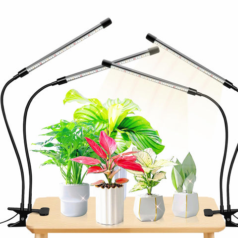EWITTTI plant lights with full spectrum deliver balanced growth for indoor greens.