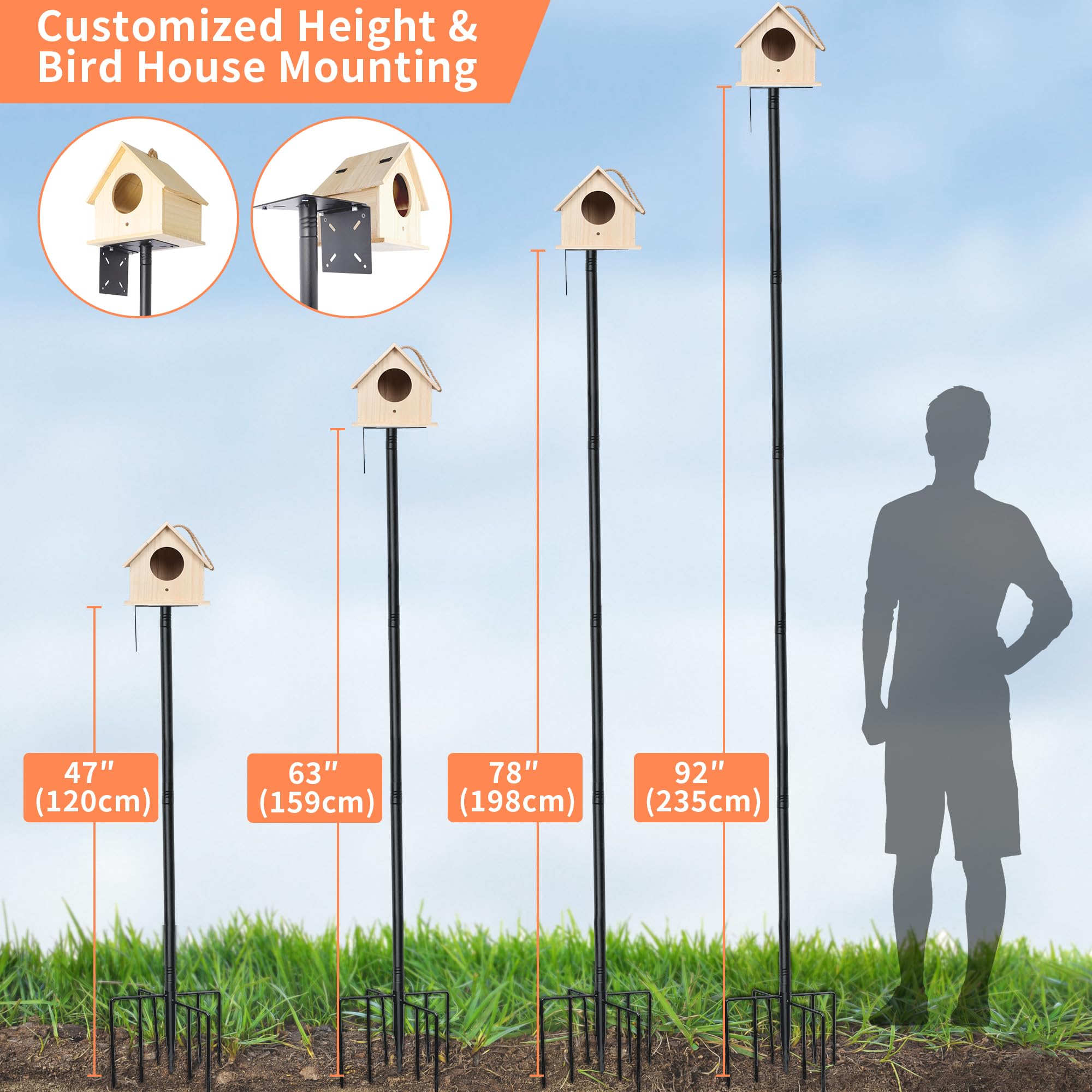 eWonLife detachable bird bath tray provides water for visiting birds