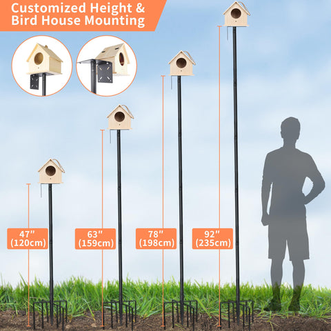 eWonLife detachable bird bath tray provides water for visiting birds