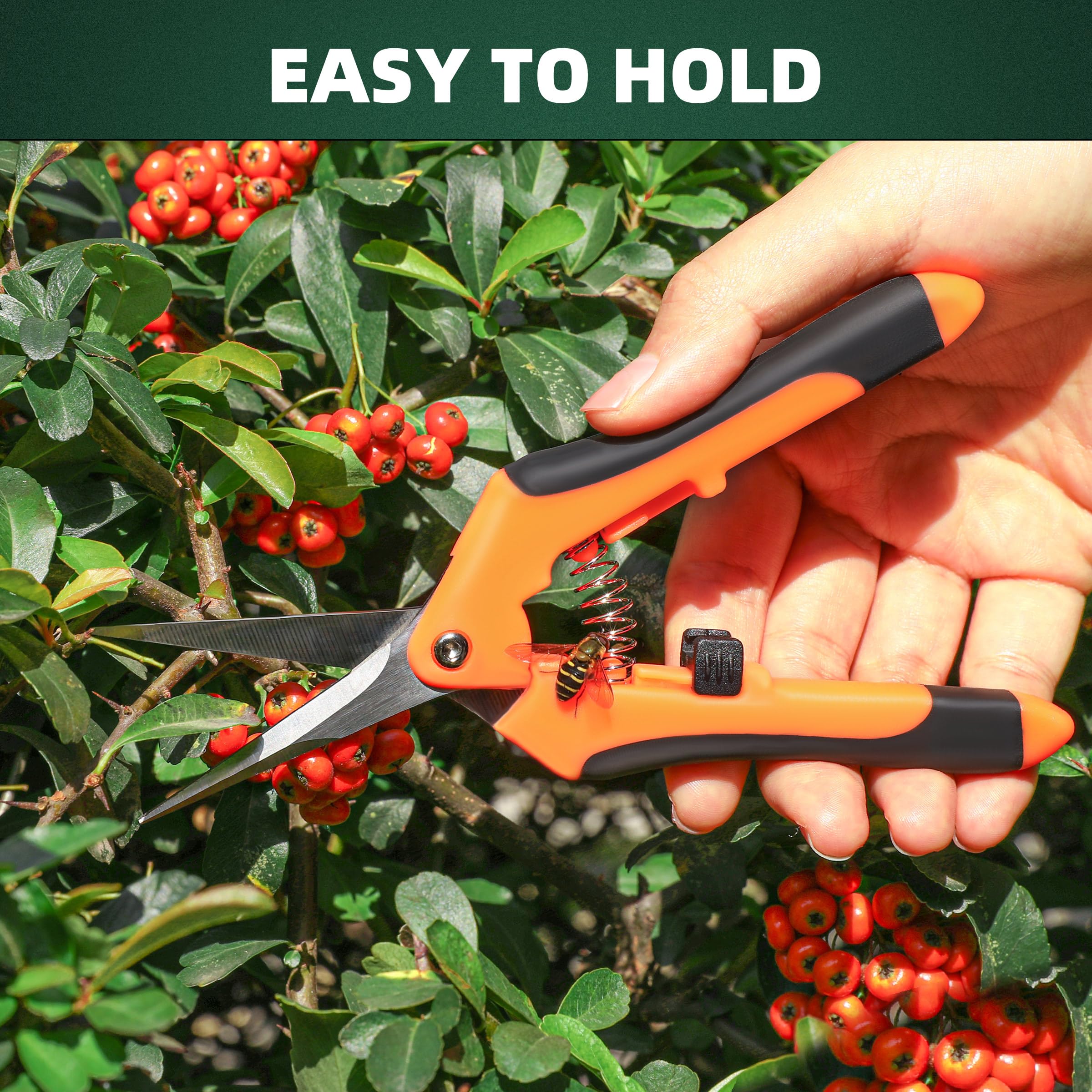 EWPJDK herb and hydroponic pruning suitable for kitchen herbs