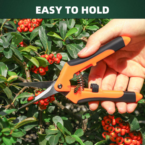 EWPJDK herb and hydroponic pruning suitable for kitchen herbs