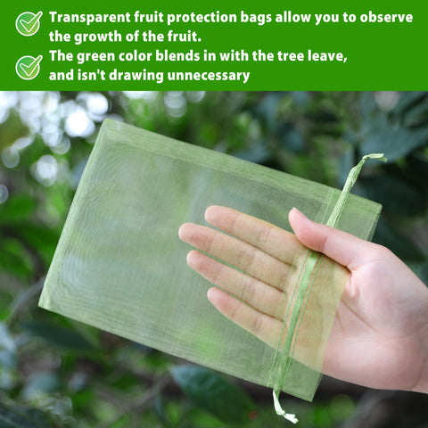 EWPJDK bags on blueberries allowing light and air through