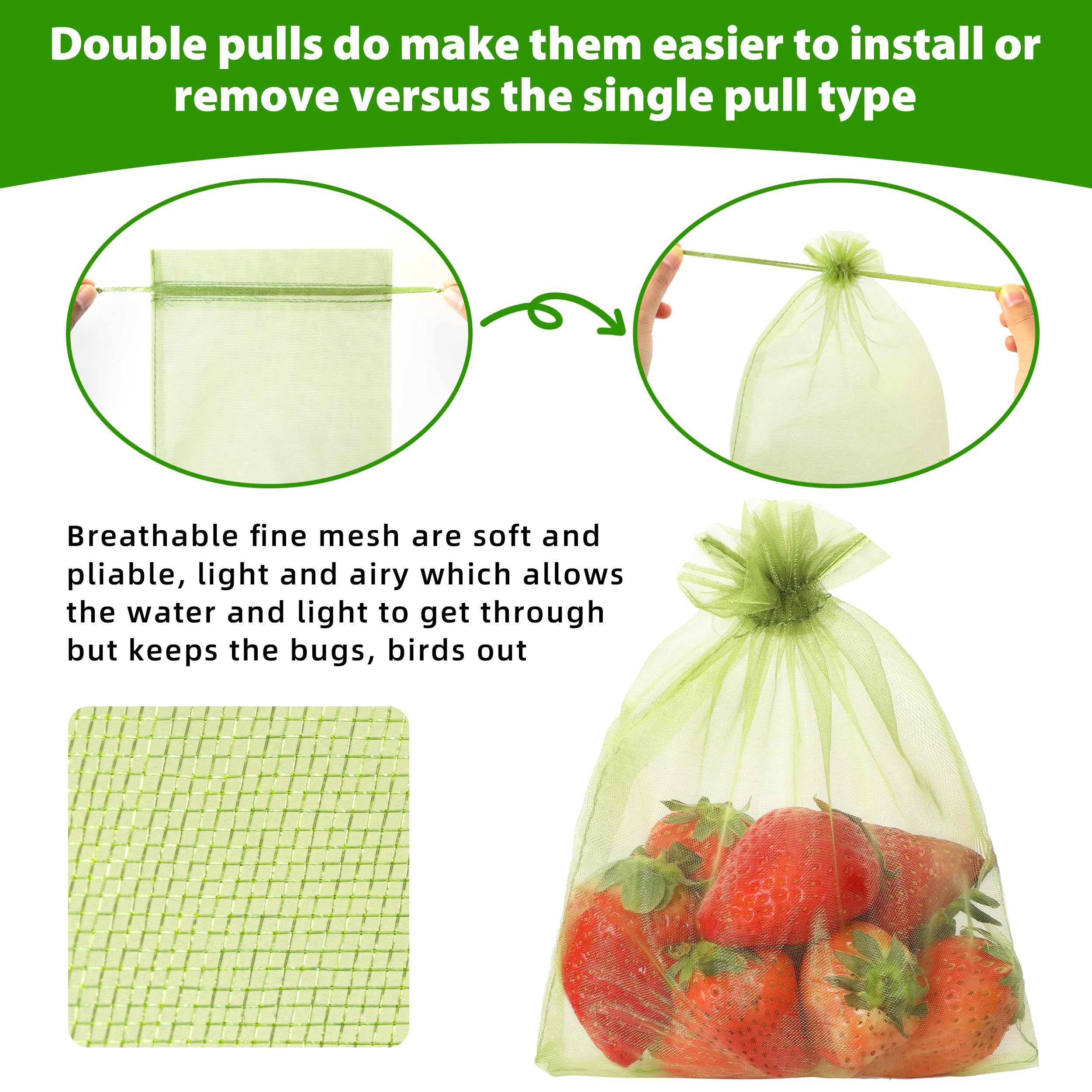EWPJDK bags on kiwis illustrating pest defense and visibility