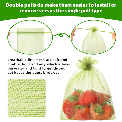 EWPJDK bags on kiwis illustrating pest defense and visibility