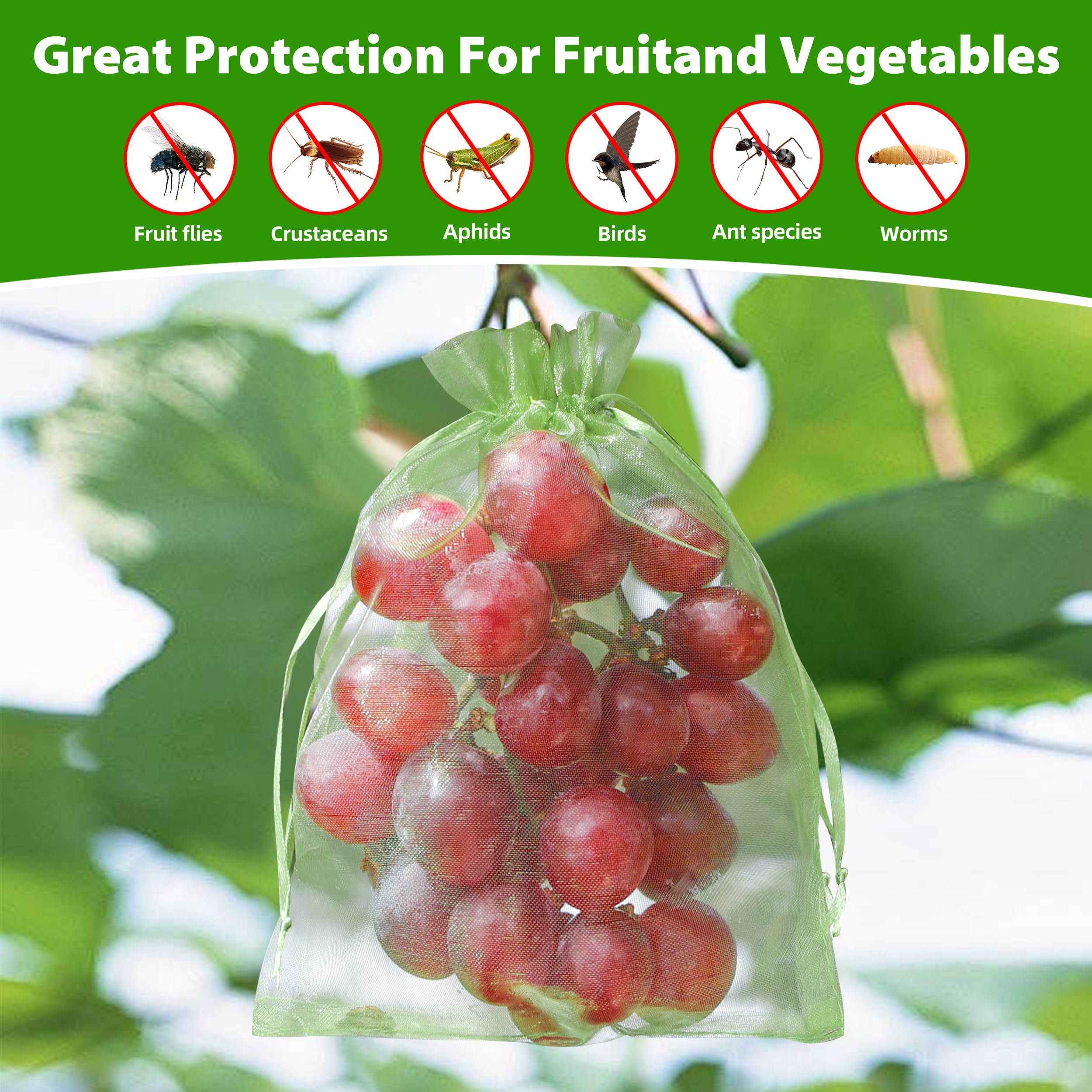 EWPJDK sealed bag demonstrating coverage for uneven fruit surfaces