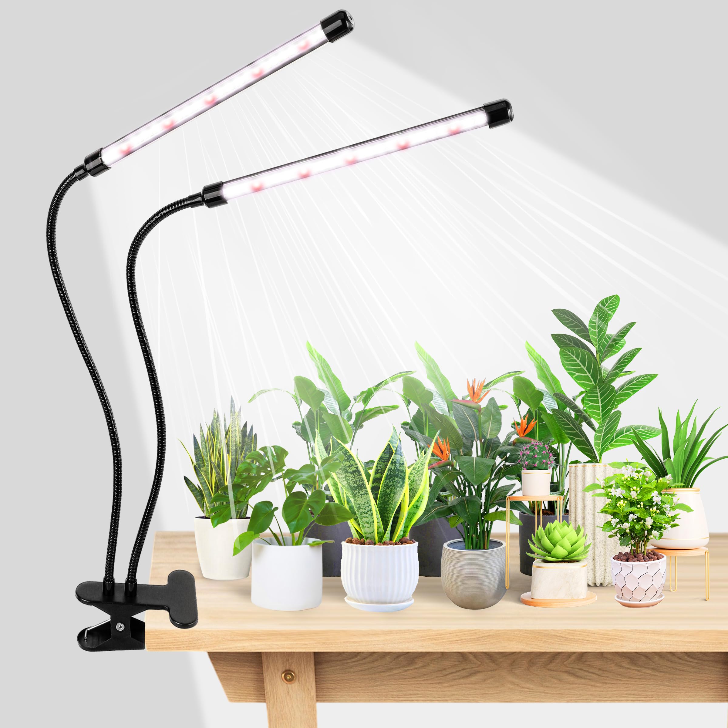 EWPJDK grow light delivers 6500K full spectrum for indoor plant growth