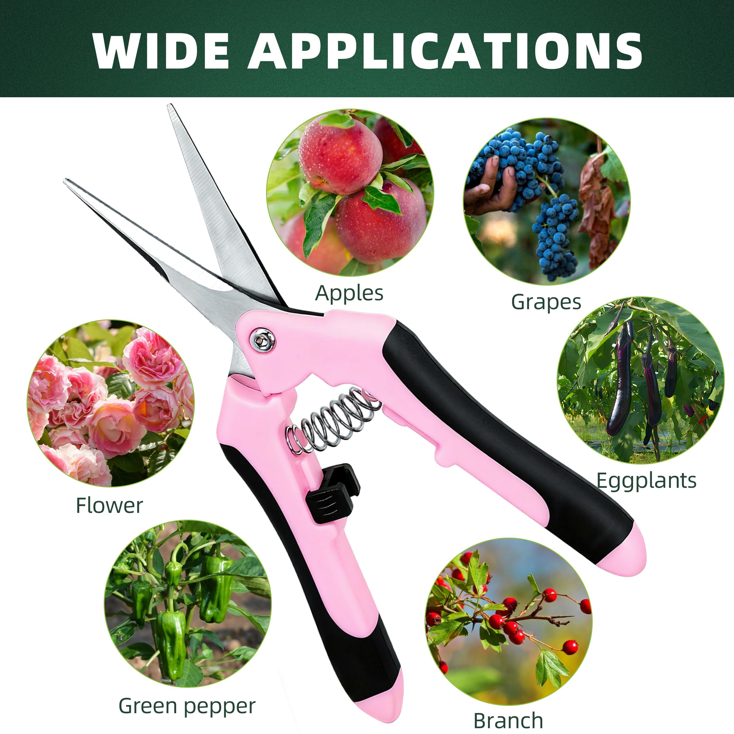 EWPJDK pruning for hydroponics and bonsai with precise control