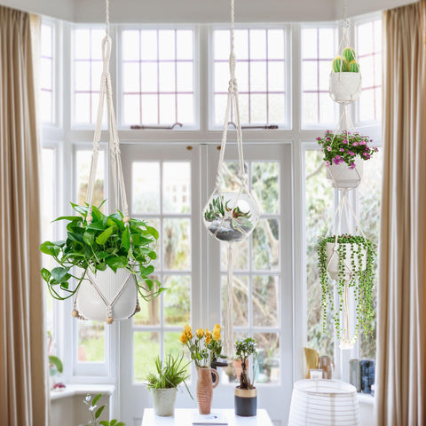 EWPJDK indoor-outdoor hanging setup enhances any living space with versatile use