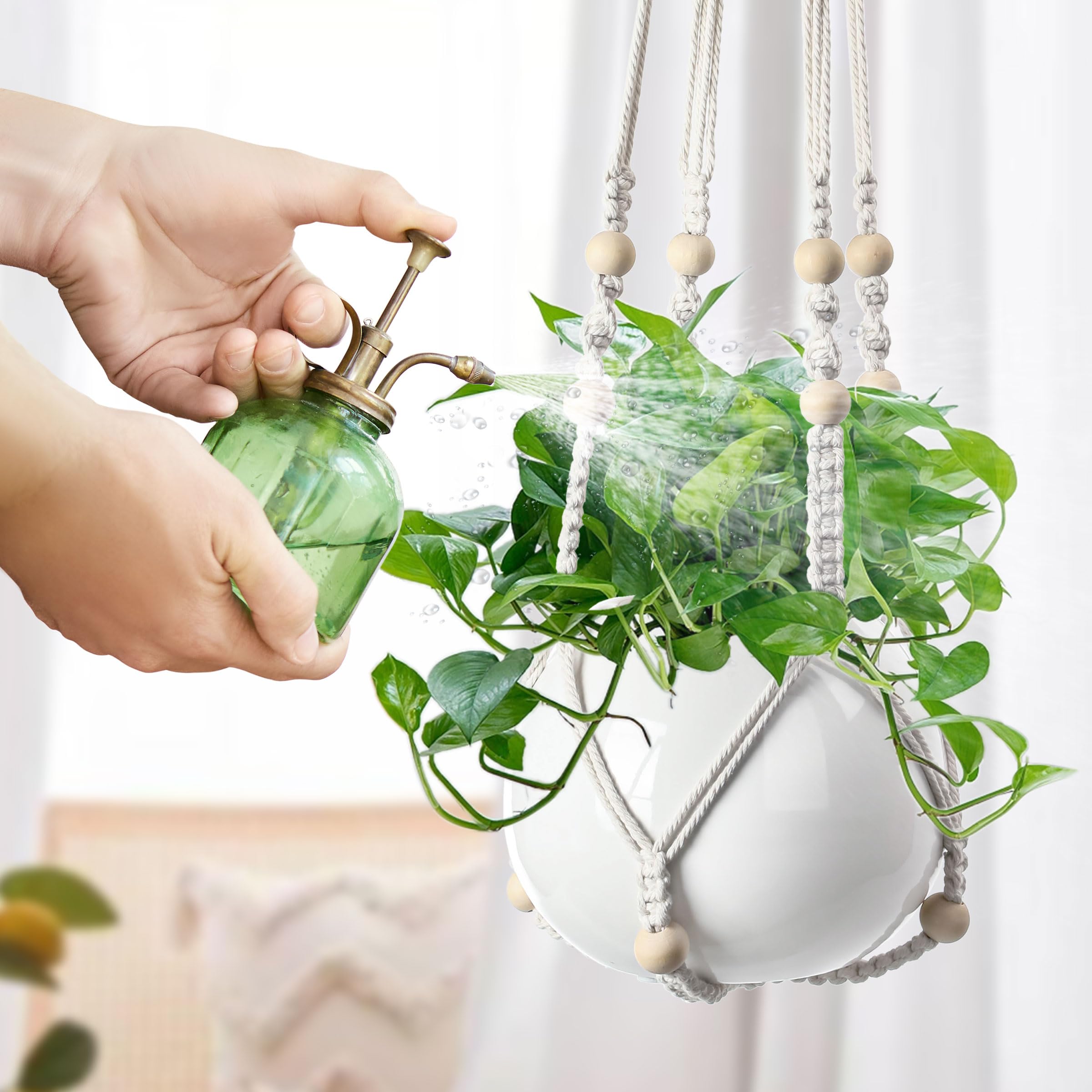 EWPJDK multi-plant display for flexible greenery arrangements