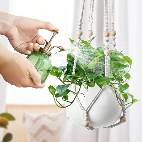 EWPJDK multi-plant display for flexible greenery arrangements