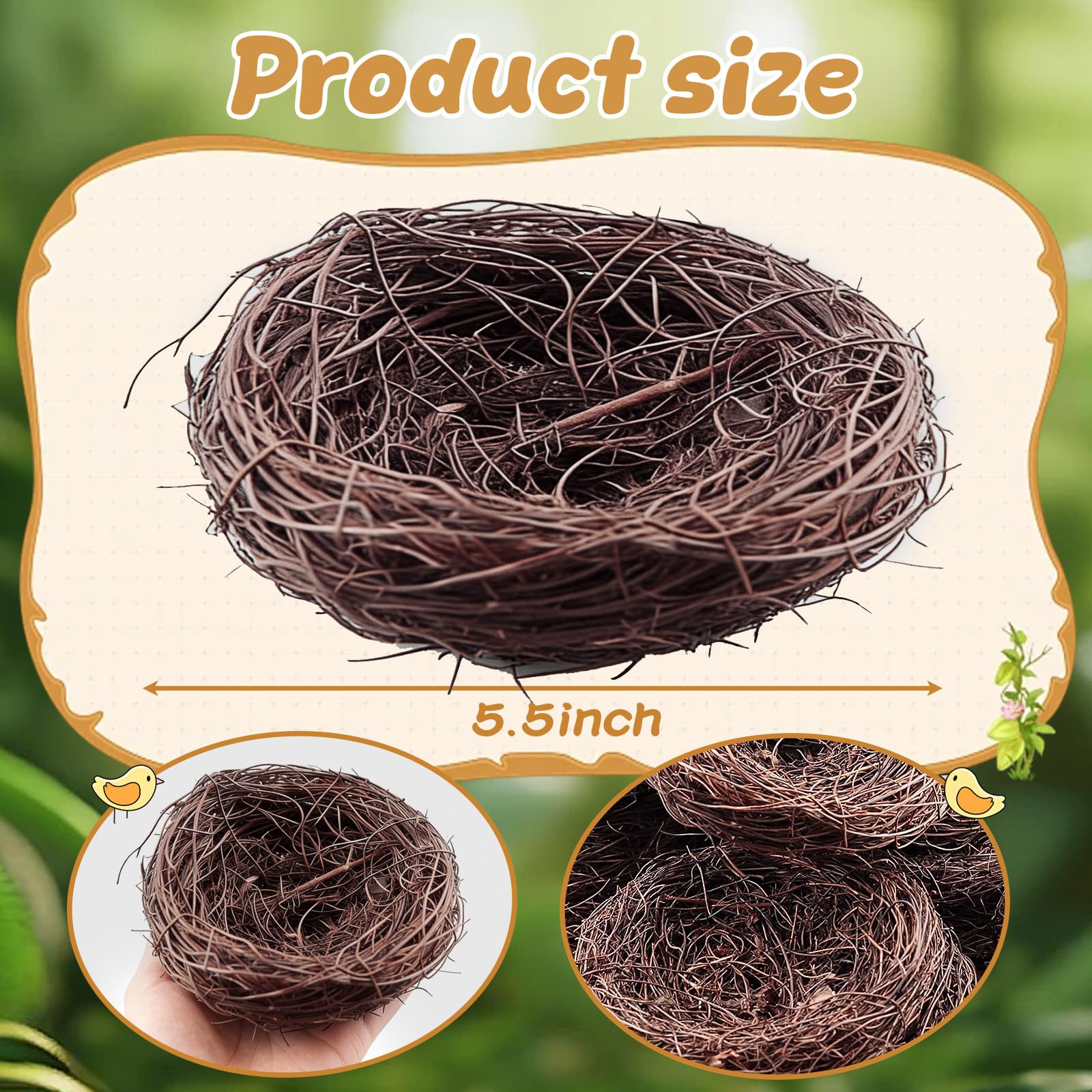 Exasinine bird nest close-up with dried grass for rustic DIY projects