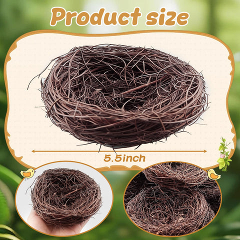 Exasinine bird nest close-up with dried grass for rustic DIY projects