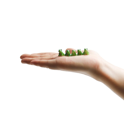 Exasinine small green frog figurine adds whimsy to miniature gardens.