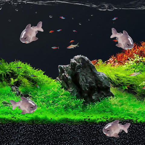 Exasinine shark miniature gray-4 boosts miniature garden charm and displays