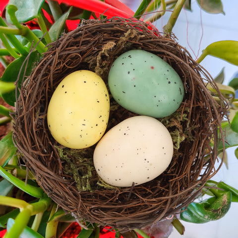 EXCEART birds nest with colorful eggs for festive Easter vibes.