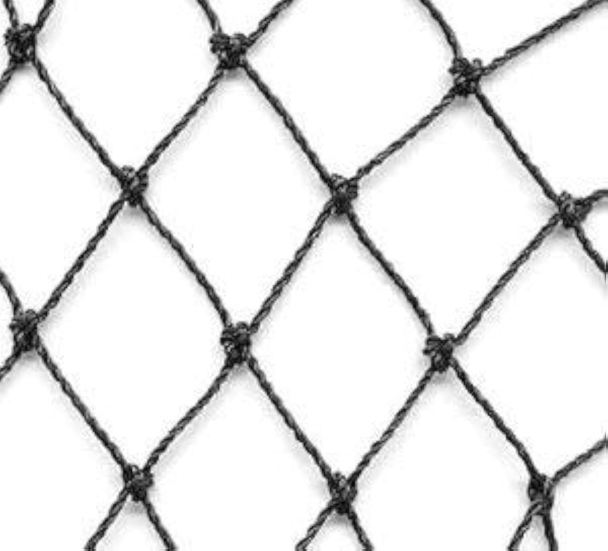 Excursions Aviary Netting with 2-inch mesh provides near invisibility over a poultry pen.
