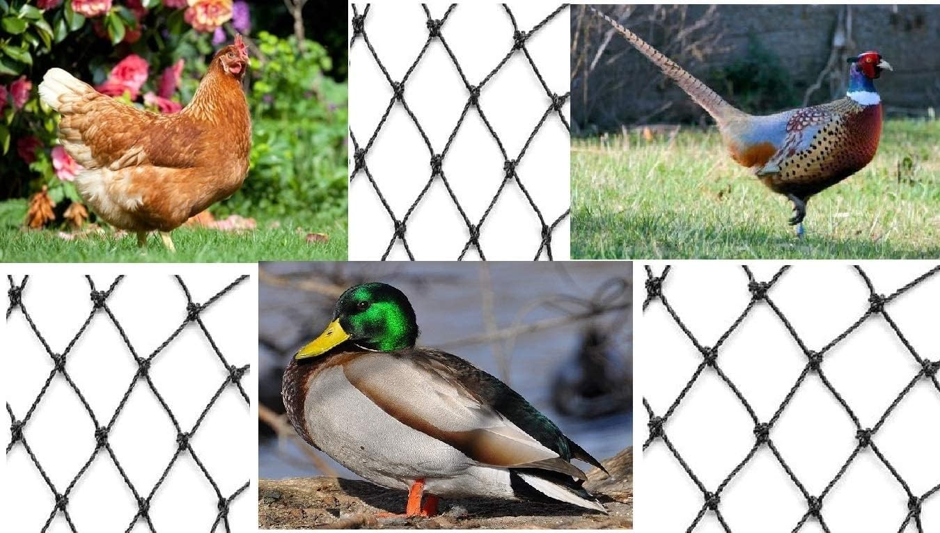Excursions Netting serves as a garden barrier against pest birds.